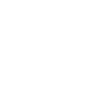 SLM