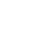 SLM